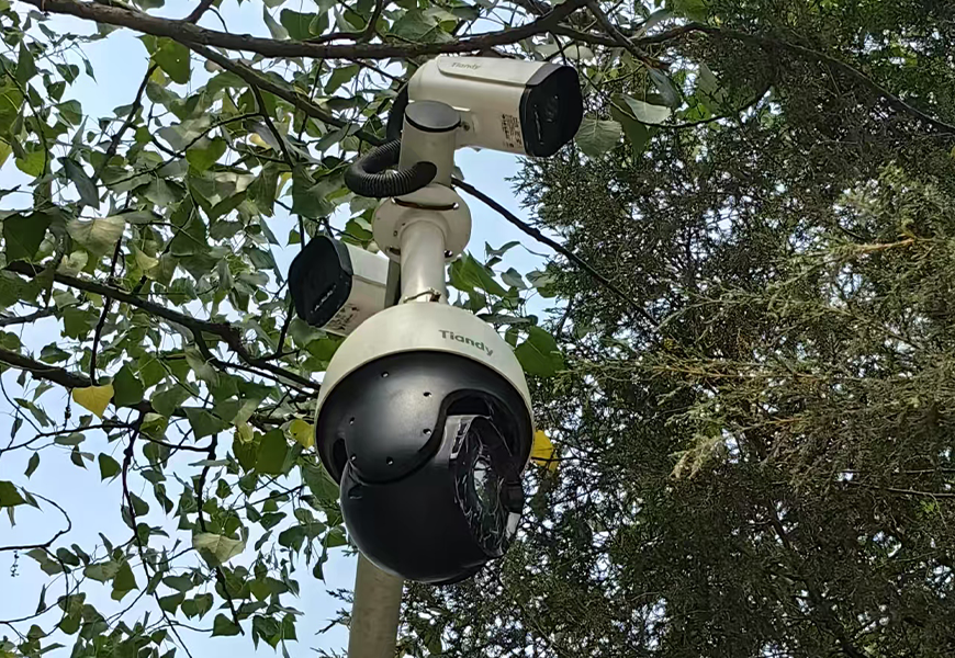 BG���μ���(�й�)Ψһ�ٷ���վ