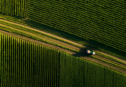 BG���μ���(�й�)Ψһ�ٷ���վ