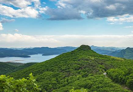 BG���μ���(�й�)Ψһ�ٷ���վ