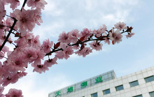 BG���μ���(�й�)Ψһ�ٷ���վ